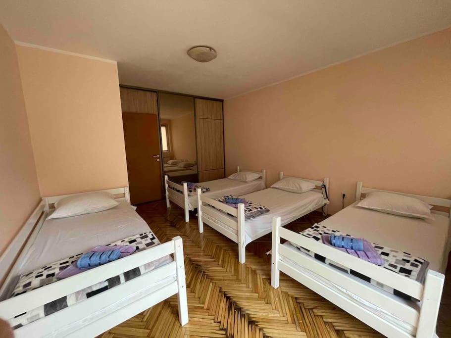 Bg Sunflower Apartment Belgrad Exterior foto