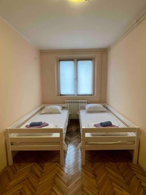 Bg Sunflower Apartment Belgrad Exterior foto